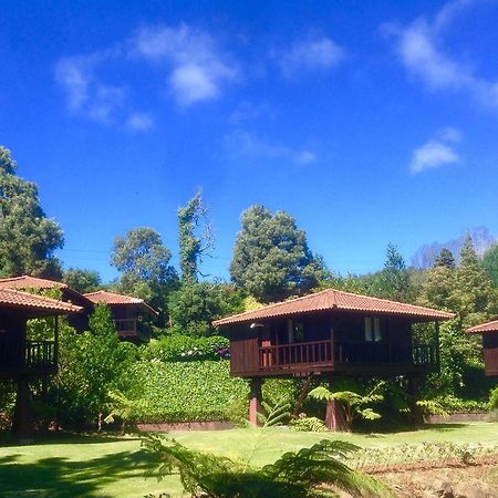 Quinta Das Eiras Santo Antonio da Serra Exteriör bild