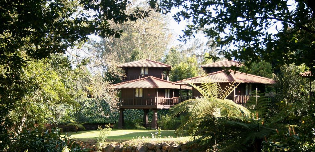 Quinta Das Eiras Santo Antonio da Serra Exteriör bild