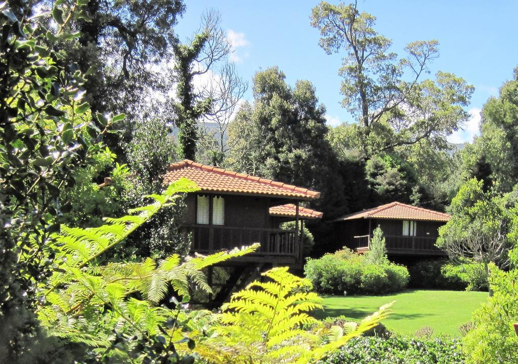 Quinta Das Eiras Santo Antonio da Serra Exteriör bild