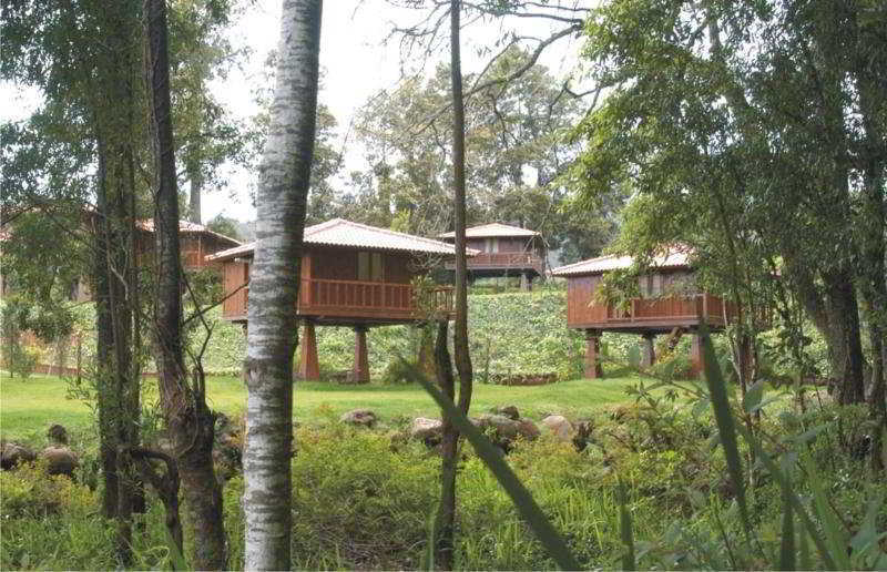 Quinta Das Eiras Santo Antonio da Serra Exteriör bild