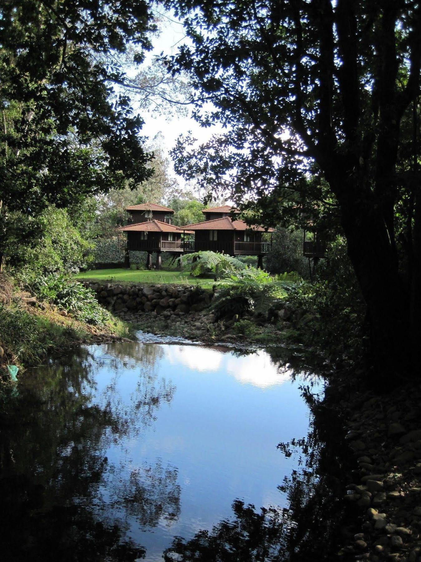 Quinta Das Eiras Santo Antonio da Serra Exteriör bild