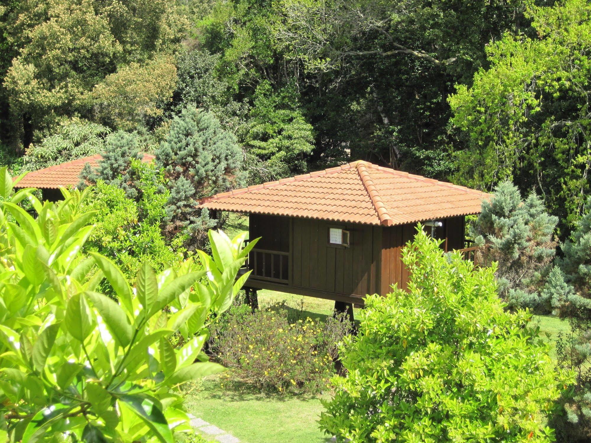 Quinta Das Eiras Santo Antonio da Serra Exteriör bild